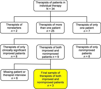 Successful and Less Successful Psychotherapies Compared: Three Therapists and Their Six Contrasting Cases